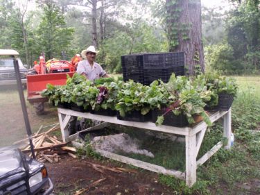 Farm Picture