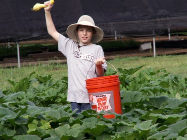 Farm Picture